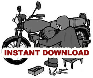 Product picture DOWNLOAD Moto Guzzi 1000SP III 1000 SP 3 SP3 1000SP3 motoguzzi Service Repair Workshop Manual